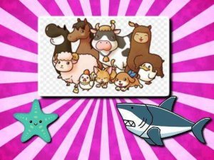 Wildlife Picture Puzzle Challenge