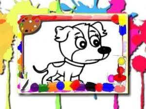Canine Color Studio
