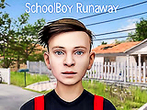 SchoolBoy Runaway Escape Game Online