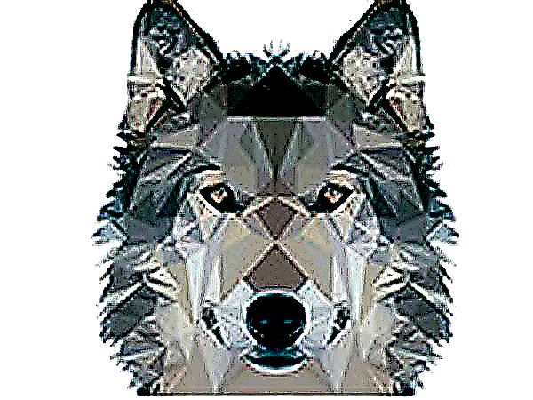 Wolf Simulator 3D: Wild Survival Online Game