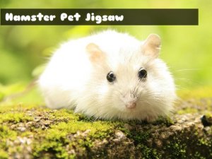 Hamster Jigsaw Puzzle Game