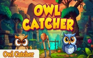 Hidden Owls Puzzle Challenge