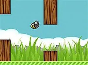 Winged Woodland Glide