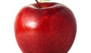 Fruit Grove Manager