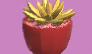 Super Succulent Puzzle Game