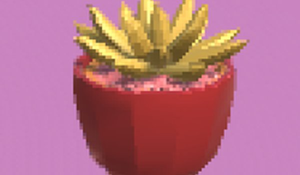 Super Succulent Puzzle Game